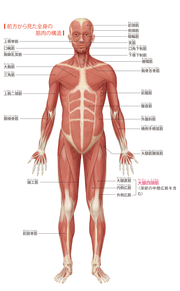 在線觀看直播